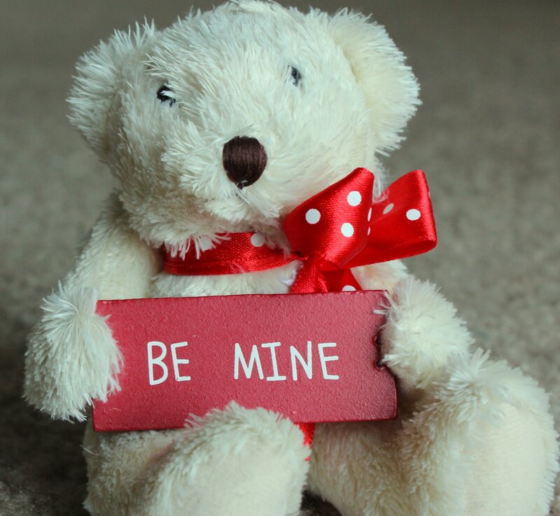 White Teddy Bear — Sentimental, Photograph, Red Bow