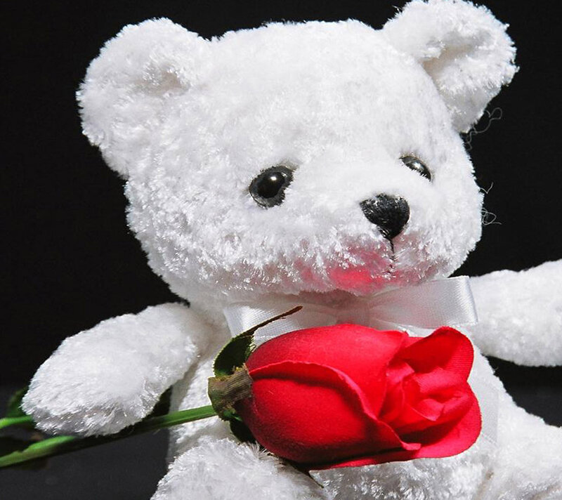 White Teddy Bear — Sentimental