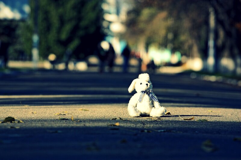 White Teddy Bear — Solitary