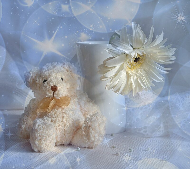 White Teddy Bear with Flower
