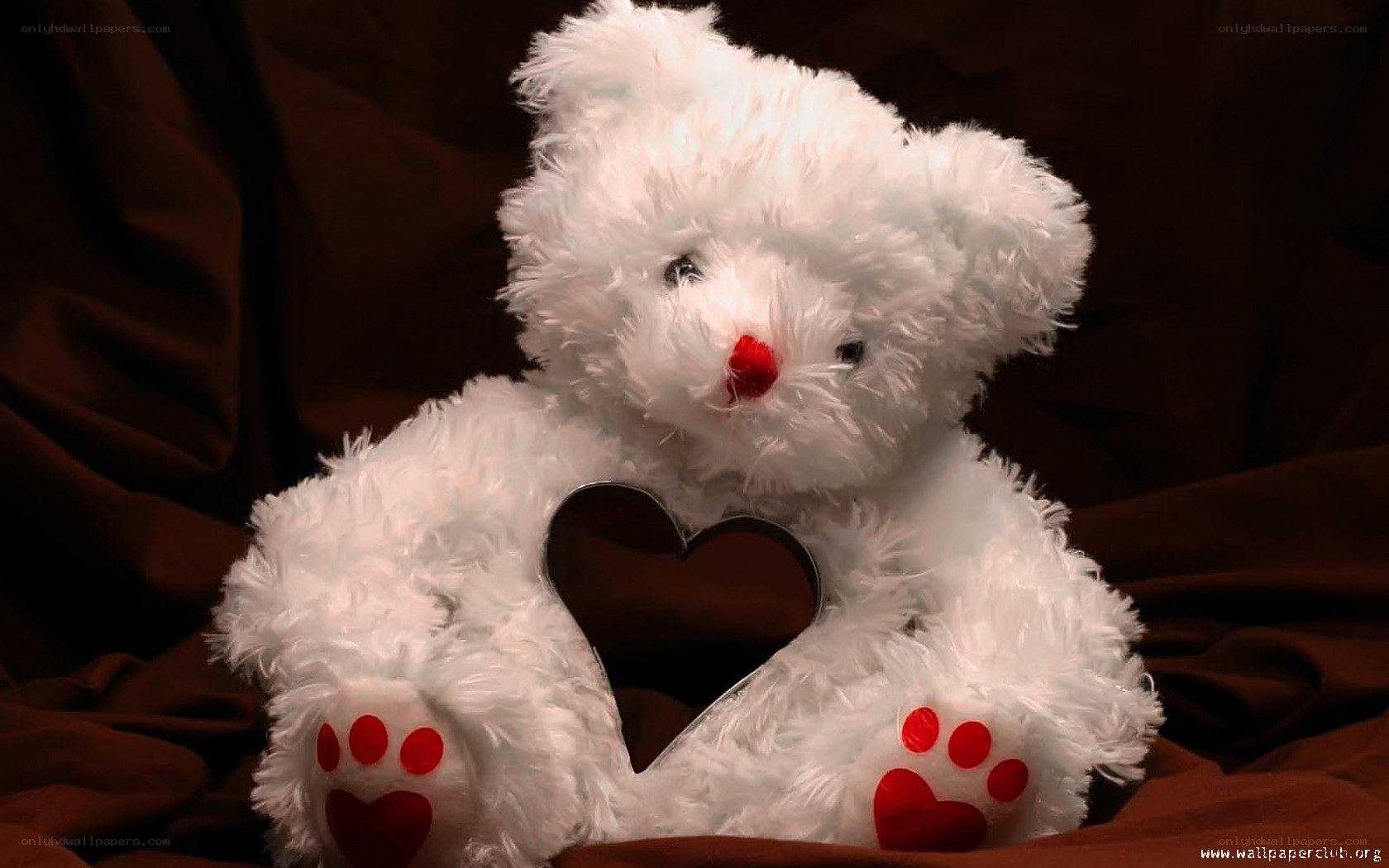 white teddy bear with heart