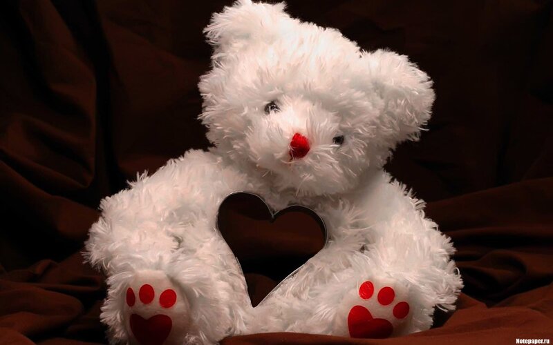 white teddy bear with heart