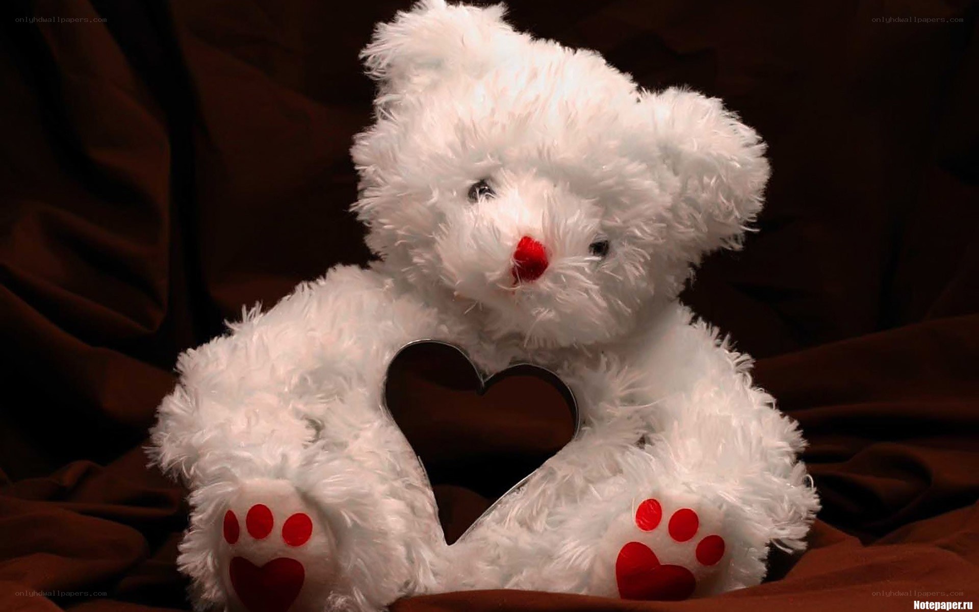 white teddy bear with heart