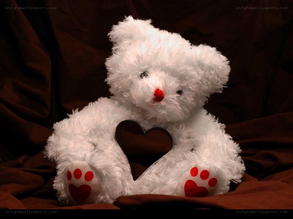 white teddy bear with heart