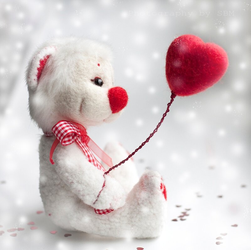 White Teddy Bear with Heart — Serene