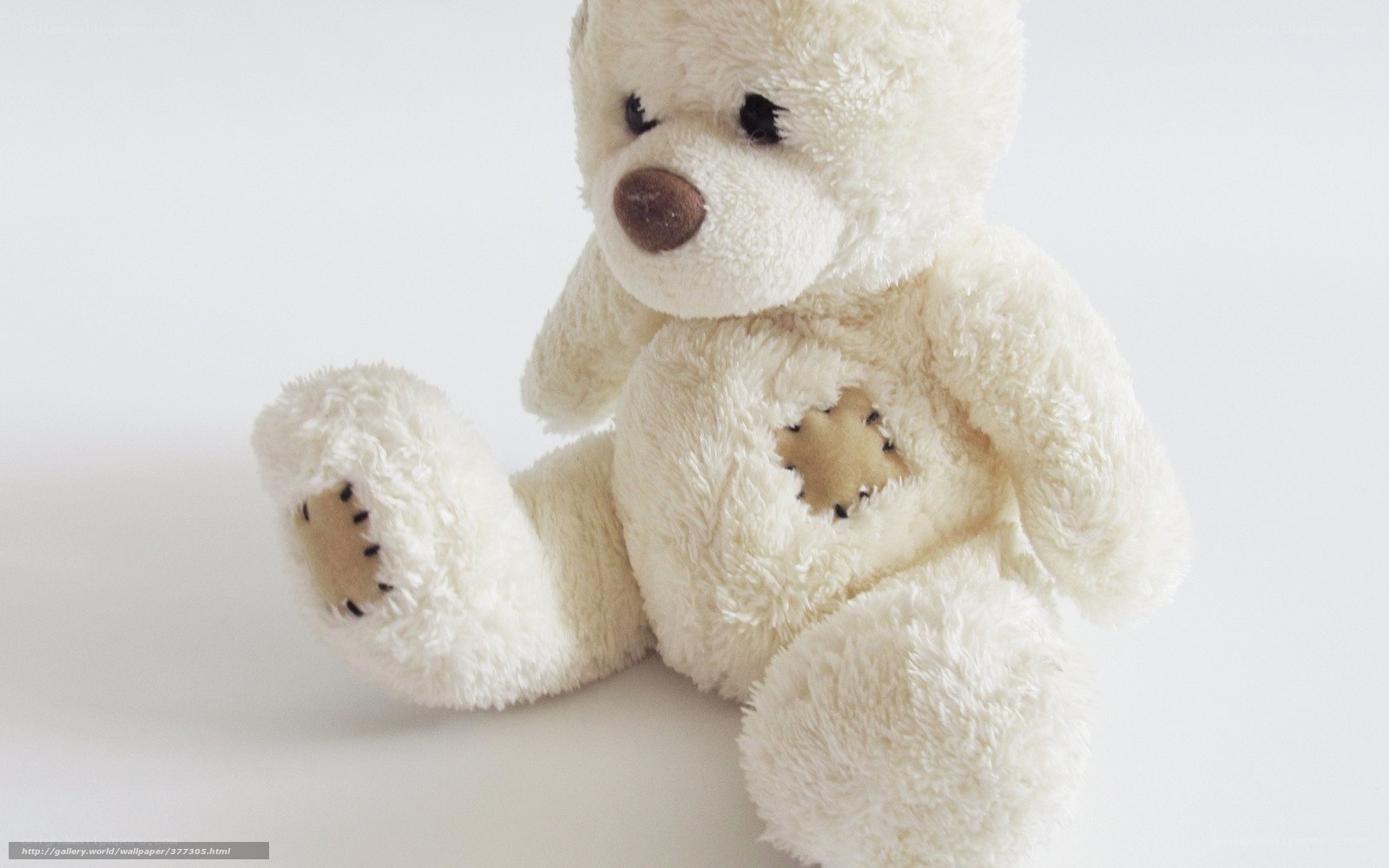 white teddy bear with heart