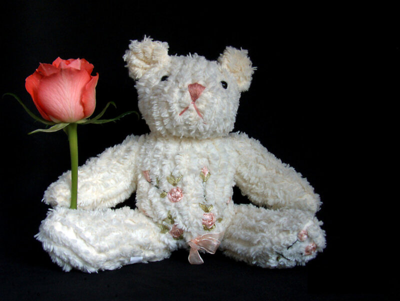 White teddy bear with rose