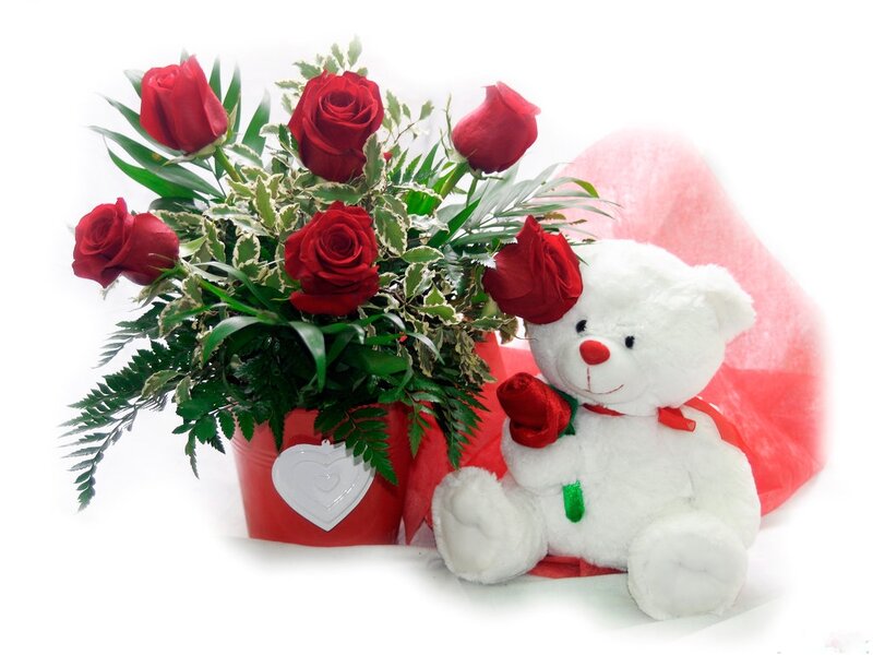 White Teddy Bear with Roses — Red, Romantic