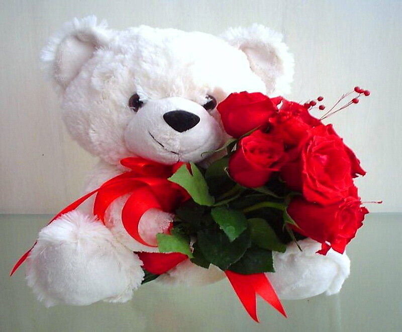 White Teddy Bear with Roses