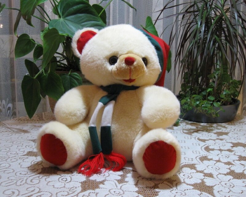 White Teddy Bear with Scarf — Calm