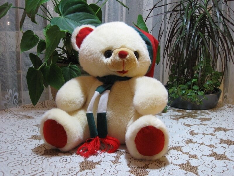 White Teddy Bear with Scarf