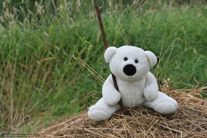 White teddy bear with stick