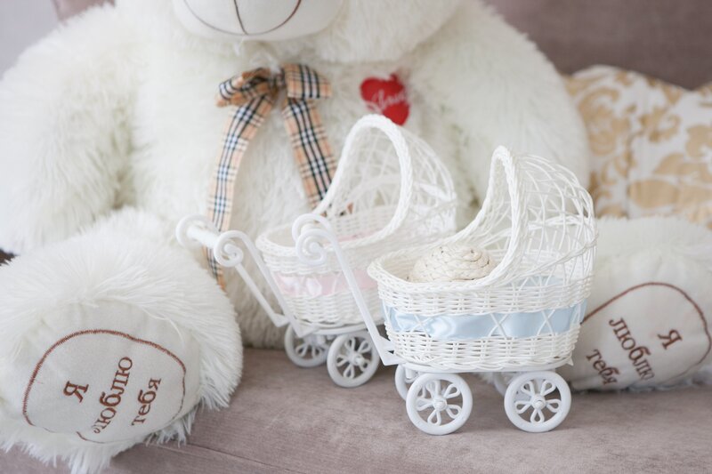 White Teddy Bear with Strollers