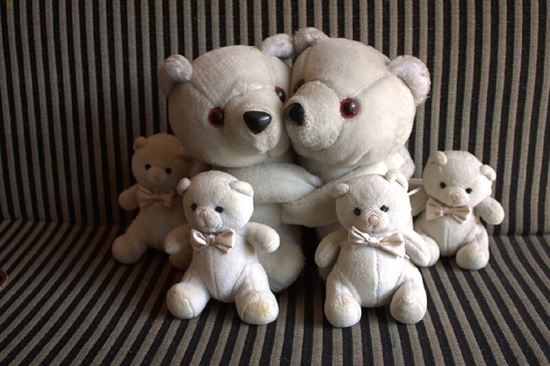 White Teddy Bears — Calm