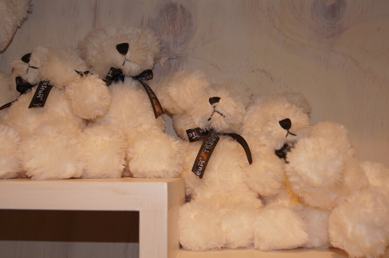 White Teddy Bears