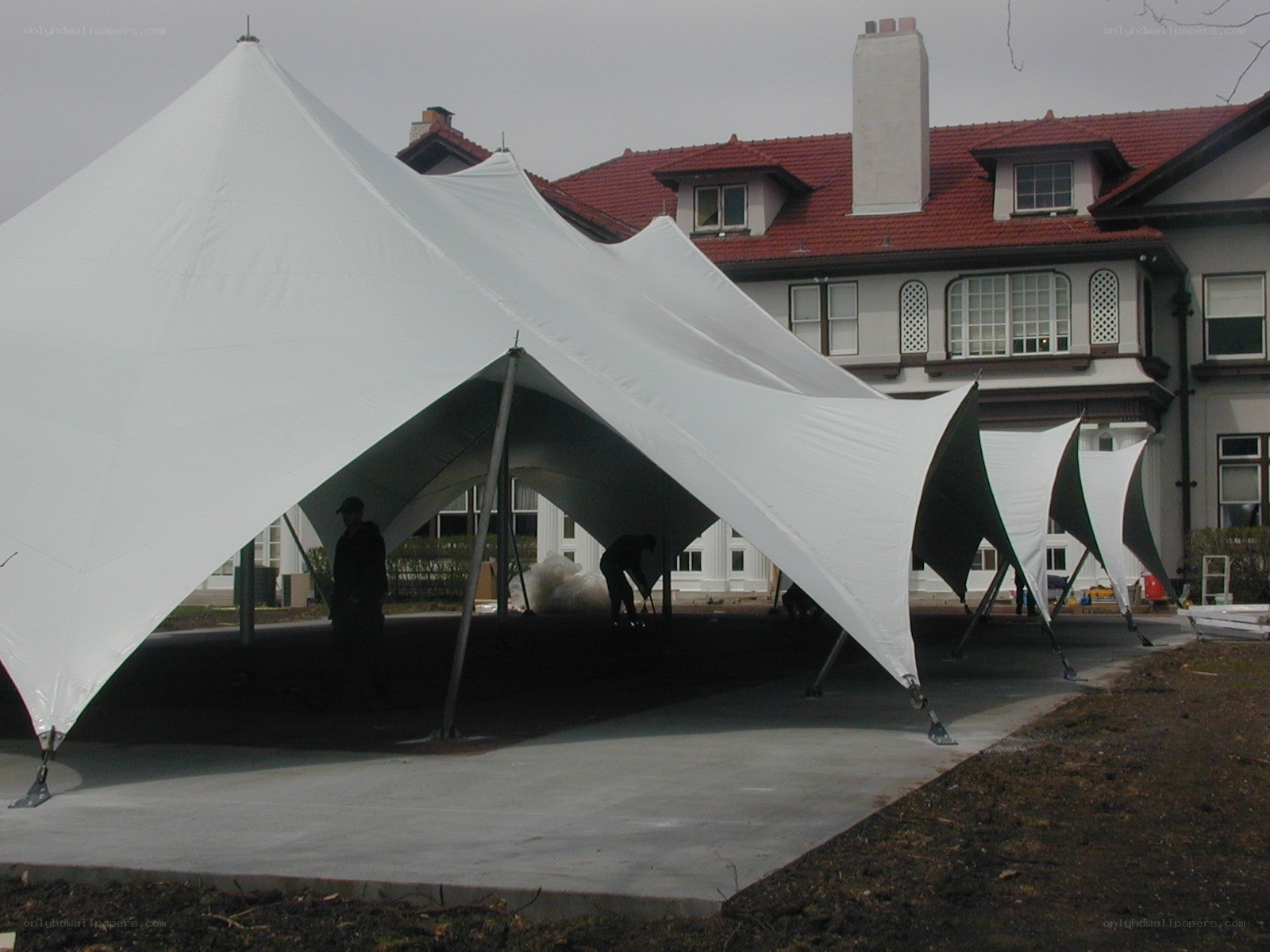 White tents set up outside a building