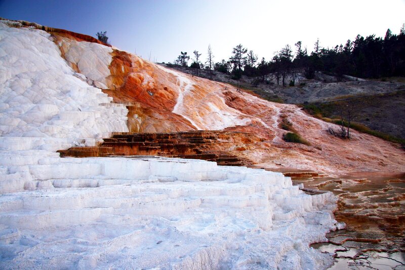 White terraces at Mammoth Hot Springs