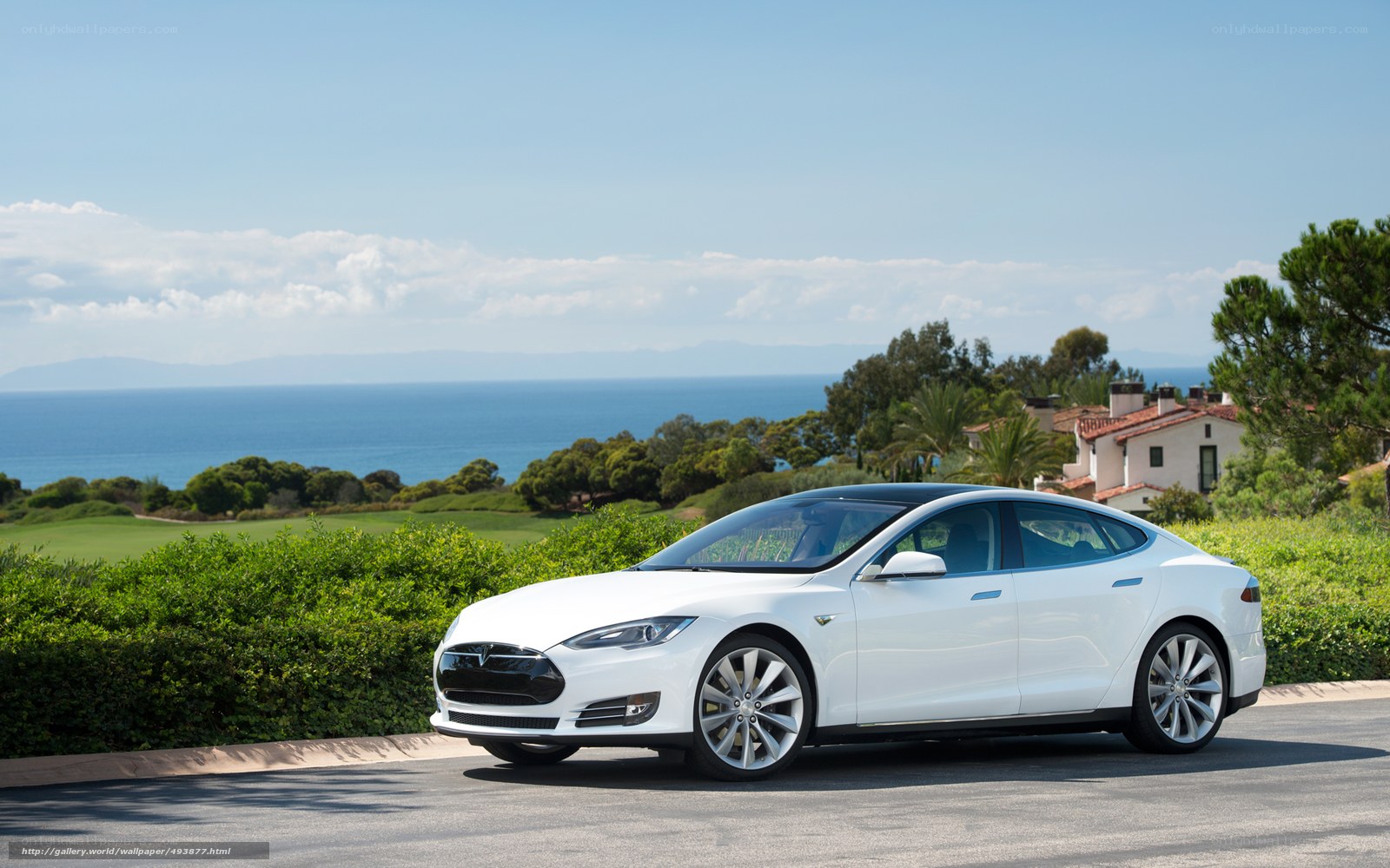 White Tesla Model S by the coast