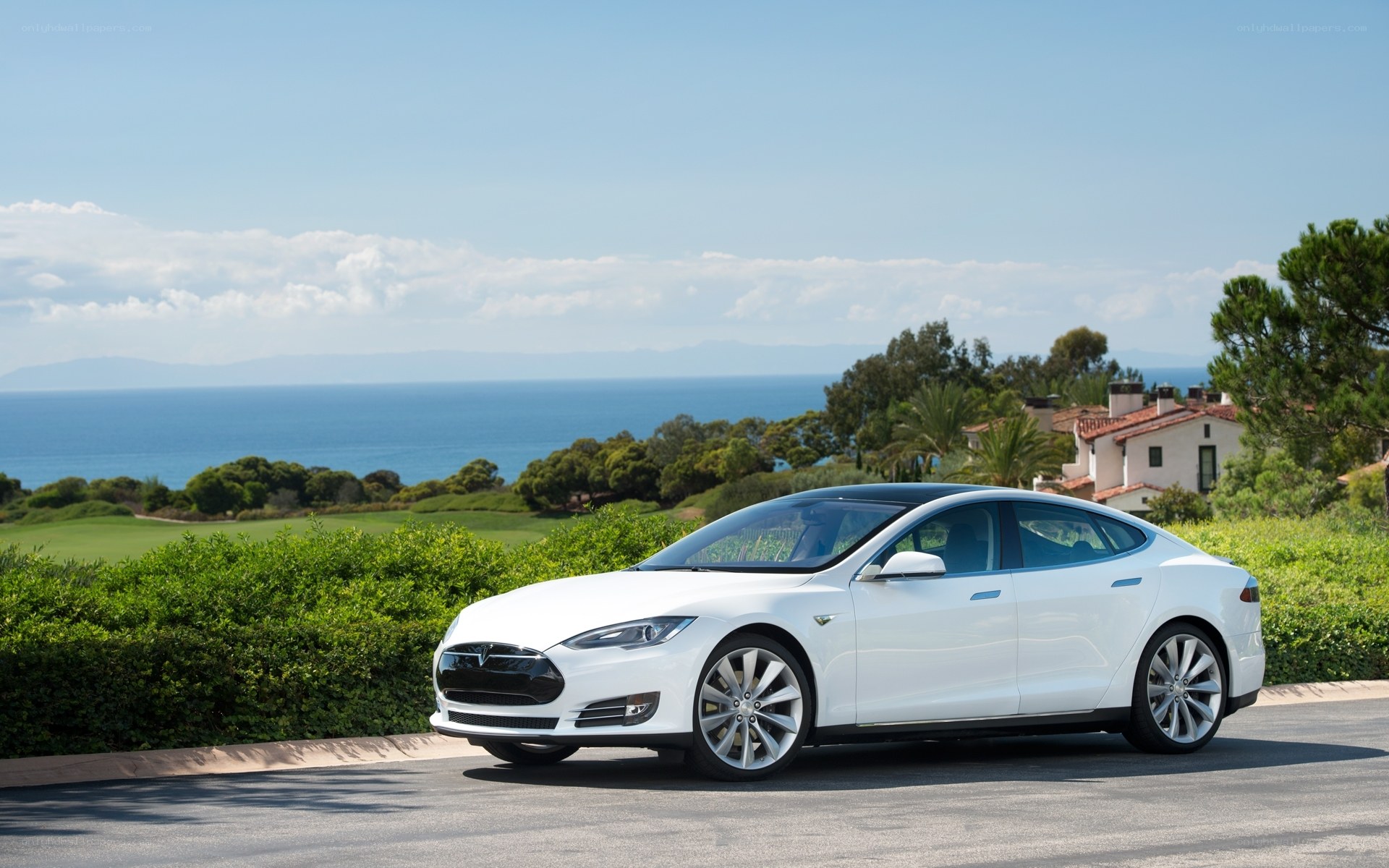 White Tesla Model S by the ocean