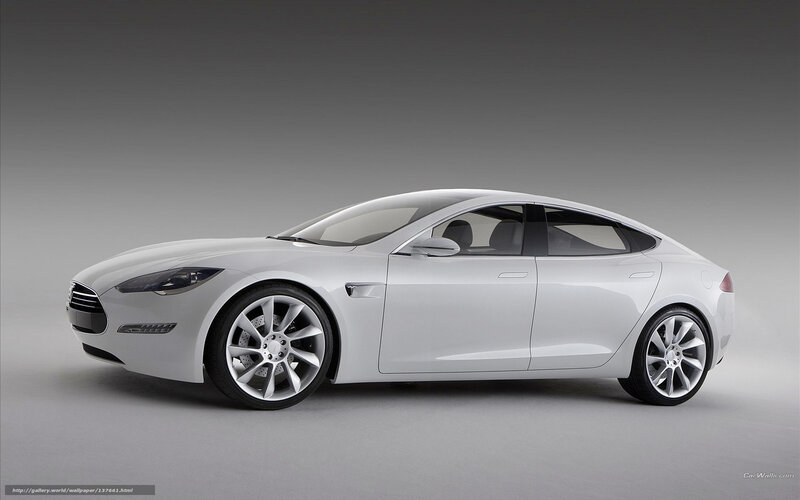white tesla model s