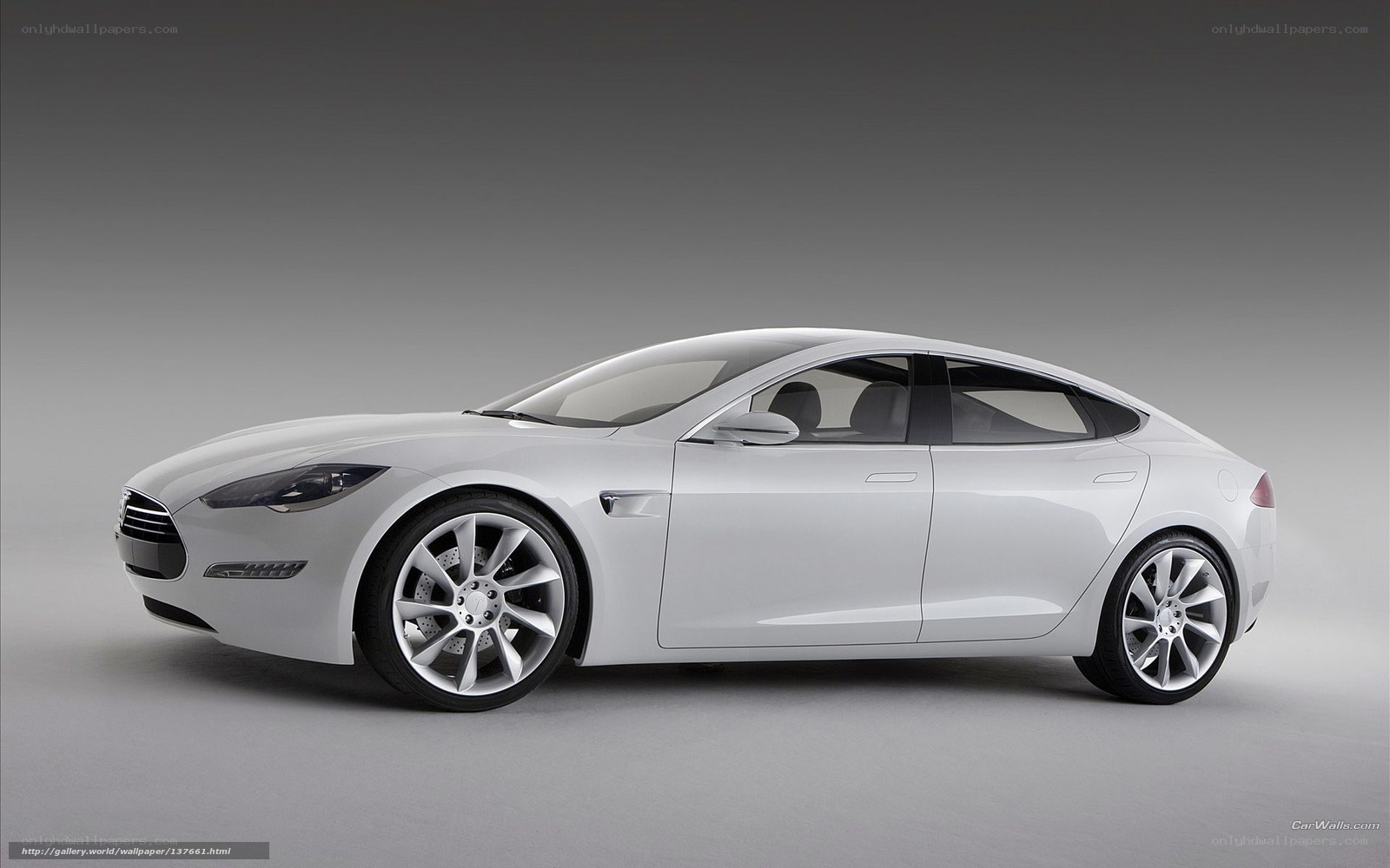 white tesla model s