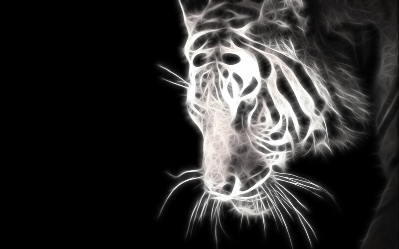 white tiger abstract art