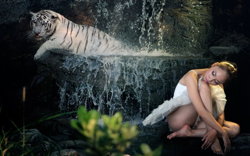 White Tiger and Ballerina