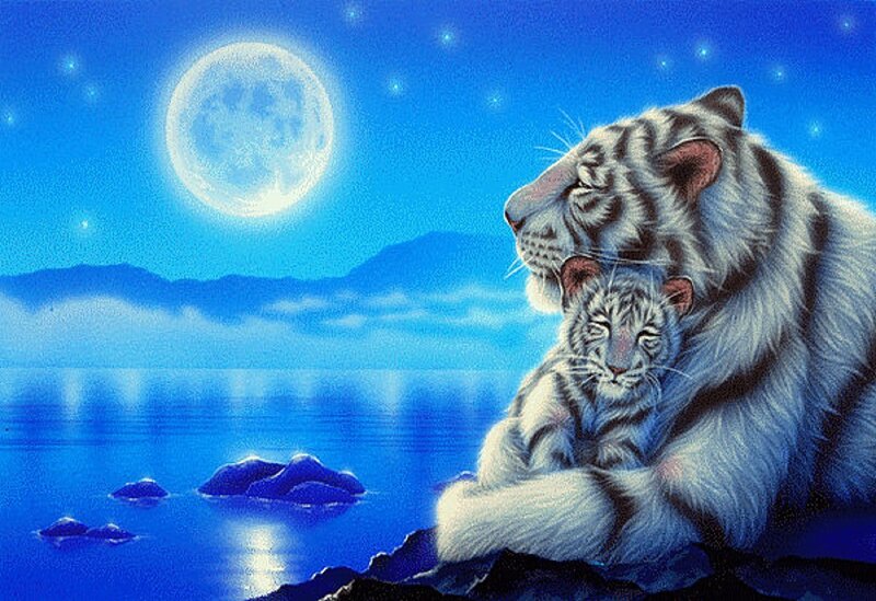 White Tiger and Cub — Blue, Serene, Night, Digital Art, Moon