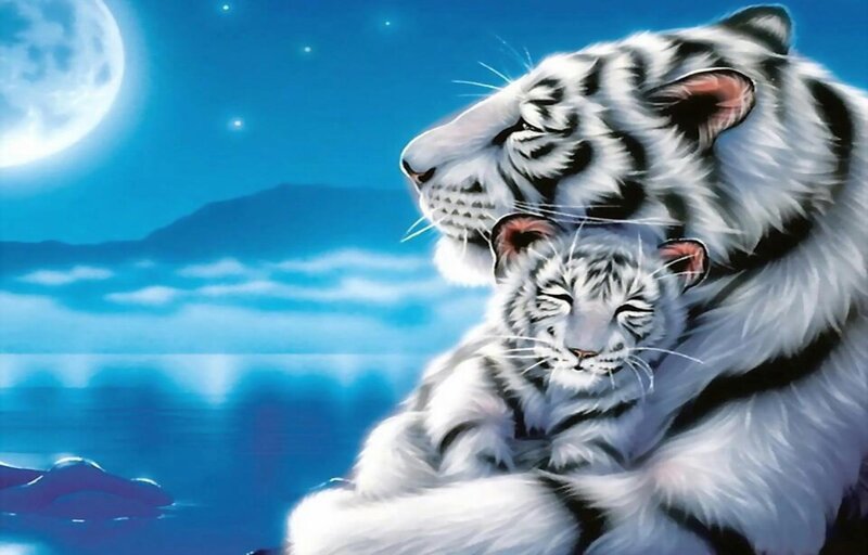 White Tiger and Cub — Blue, Serene, Night, Digital Art