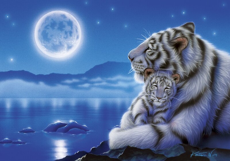 White Tiger and Cub — Blue, Serene, Night