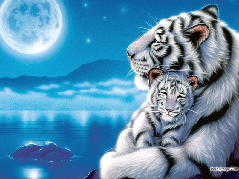 White Tiger and Cub — Blue, Serene