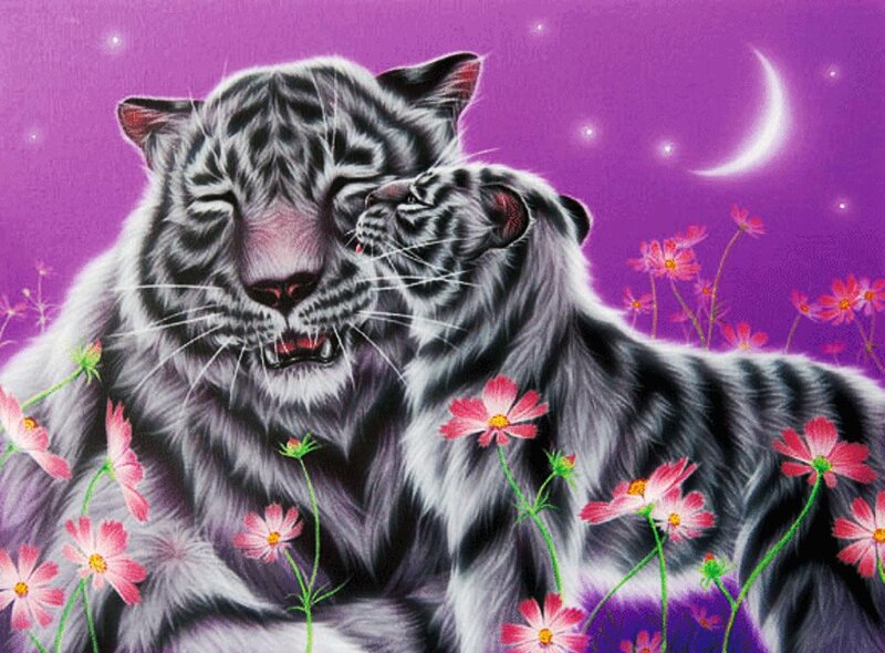 White Tiger and Cub — Purple, Serene
