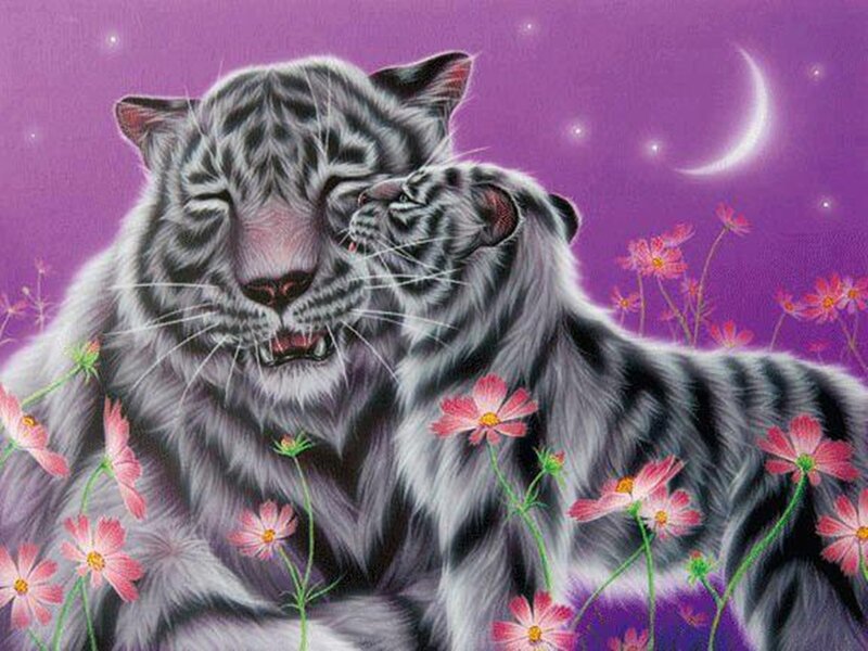 White Tiger and Cub — Purple