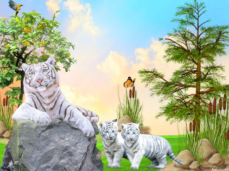 White Tiger and Cubs — Green