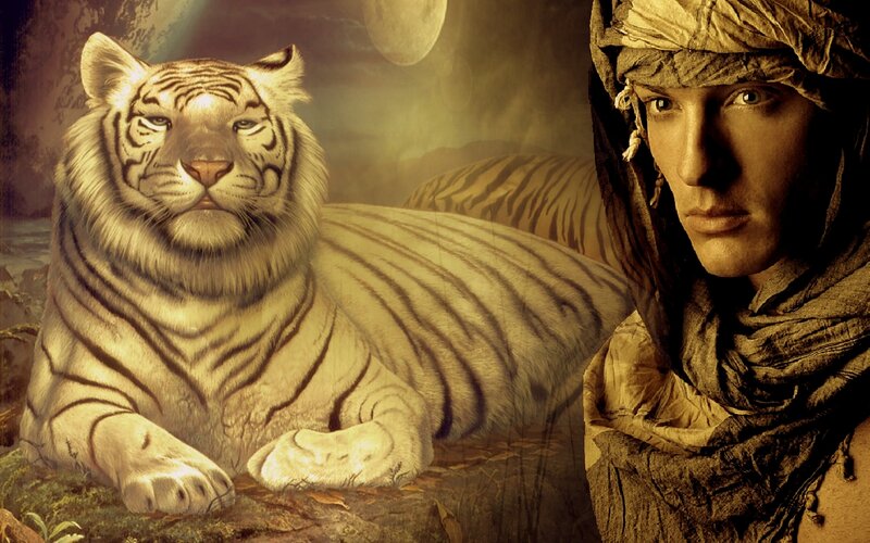 White Tiger and Man