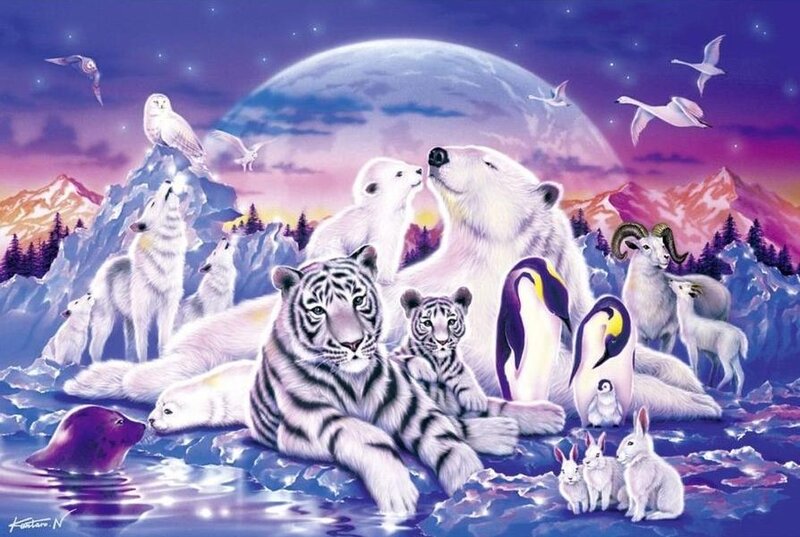 White Tiger and Polar Bear
