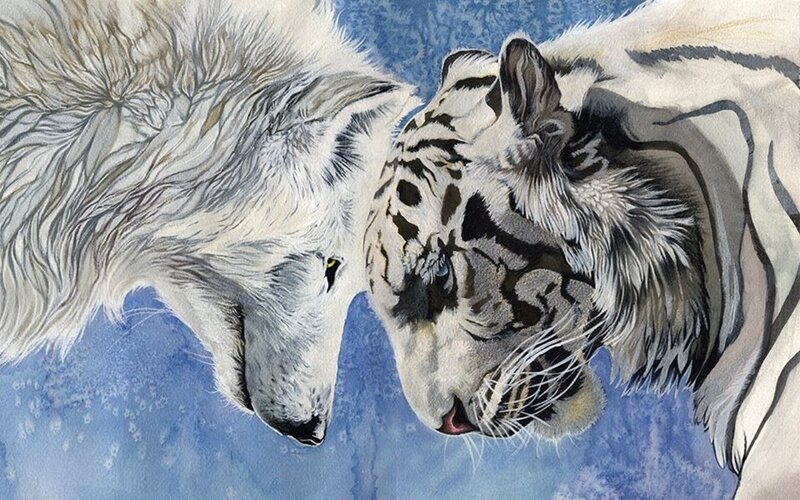 White Tiger and Wolf — Blue