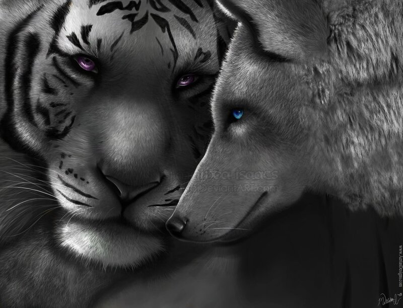 White Tiger and Wolf