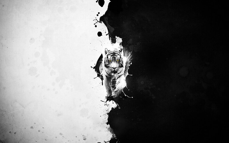 White Tiger Breaking Through