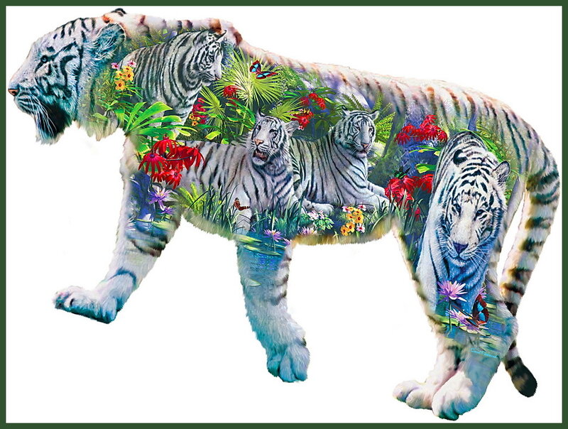 White Tiger Collage — Vibrant