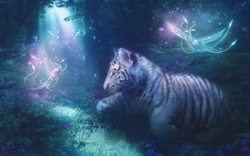 White Tiger Cub — Blue, Mystical, Night, Digital Art