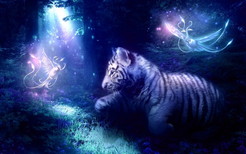 White Tiger Cub — Blue, Mystical