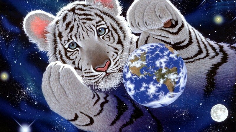 White Tiger Cub — Blue, Serene, Night, Digital Art
