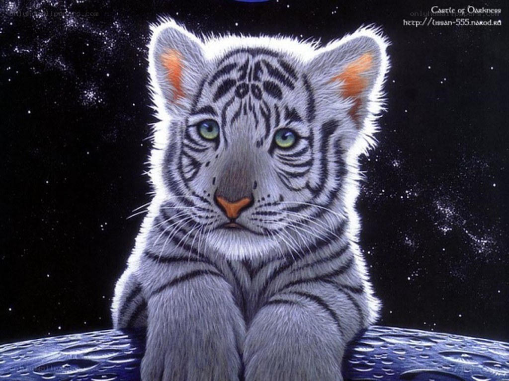 White tiger cub in space
