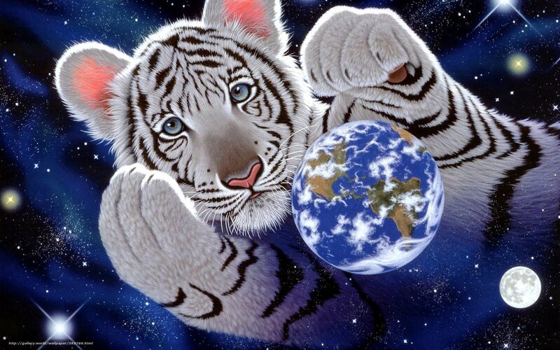 White tiger cub in space