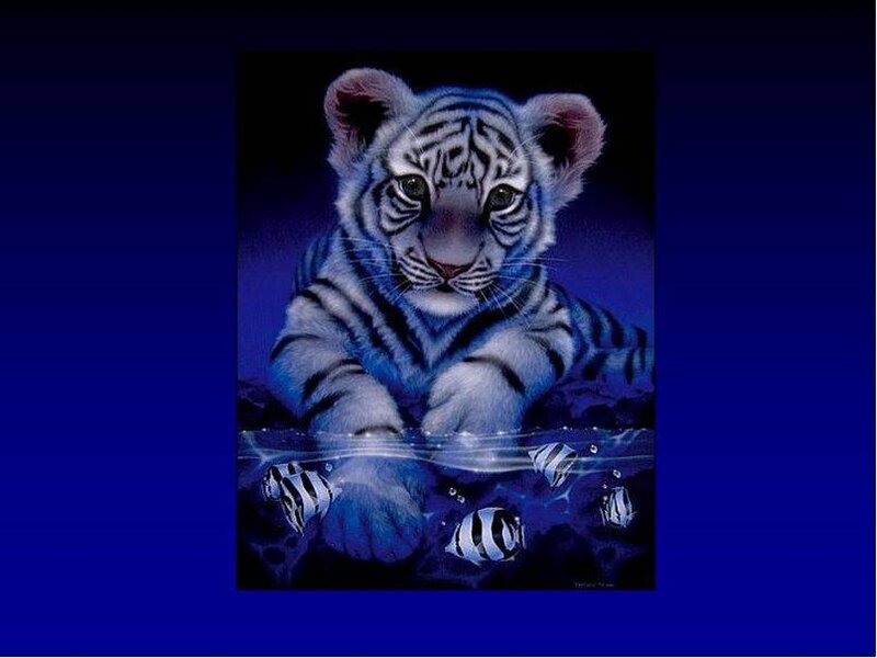 white tiger cub in water