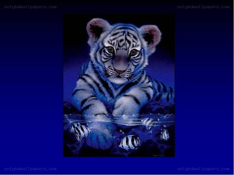 white tiger cub in water