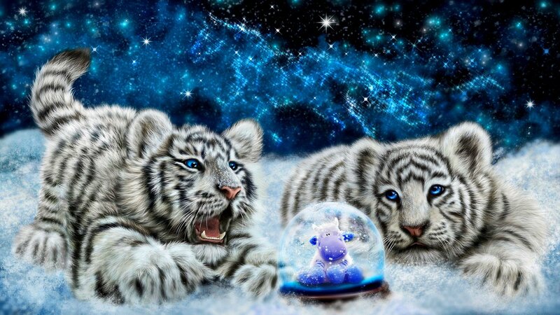 White Tiger Cubs — Blue, Magical, Night