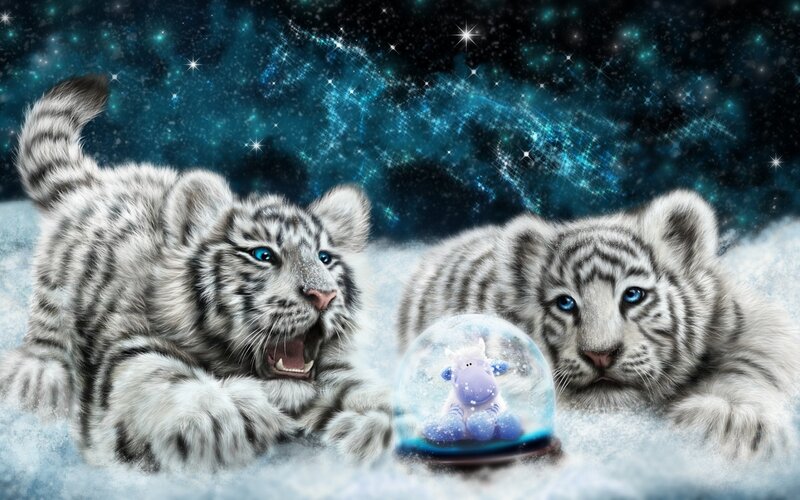 White Tiger Cubs — Blue, Magical