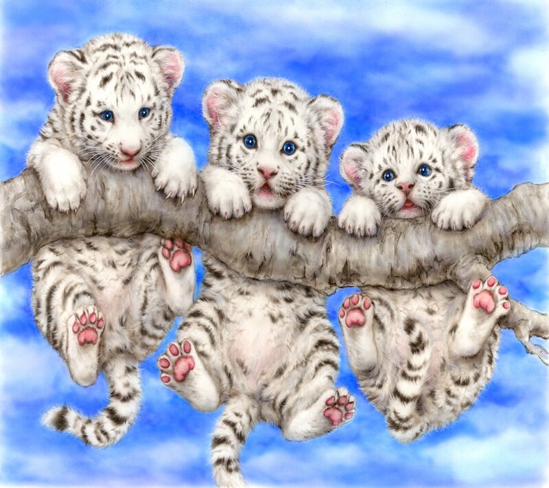 White Tiger Cubs — Blue, Playful, Illustration